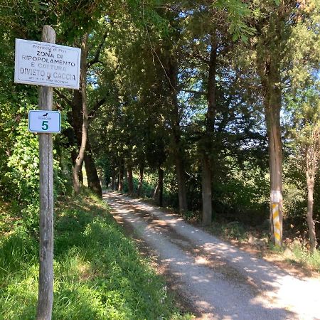 Le Giuncaie - Vigna Con Alloggio Montescudaio Zewnętrze zdjęcie