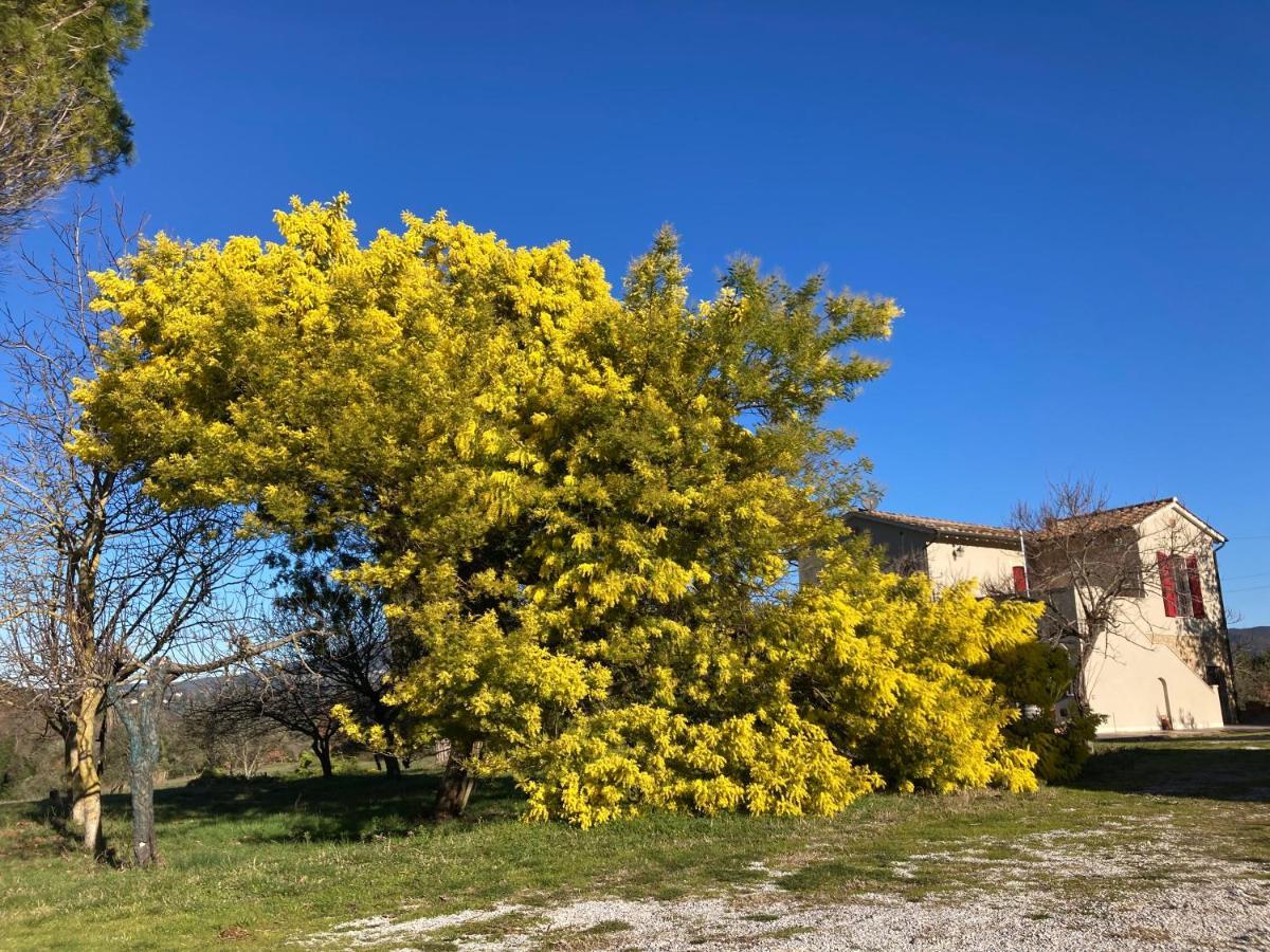 Le Giuncaie - Vigna Con Alloggio Montescudaio Zewnętrze zdjęcie